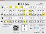 Bingo Caller