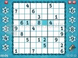 Expert Winter Sudoku