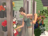 Captura Los Sims 2: Abren Negocios Patch